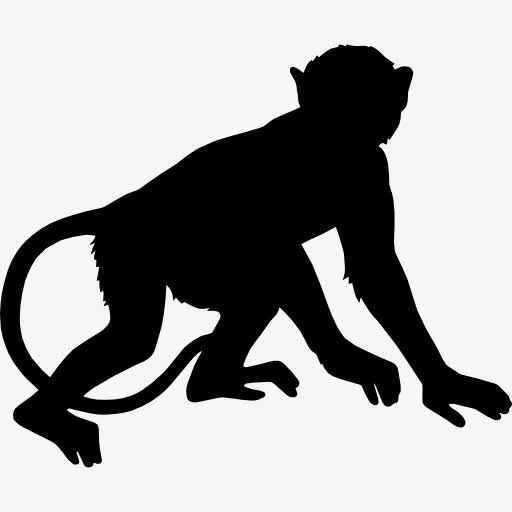 猴子图标免抠