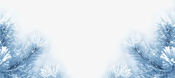 蓝色冬季积雪花枝免抠