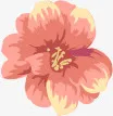 花免抠