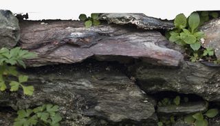 石头与绿草免抠