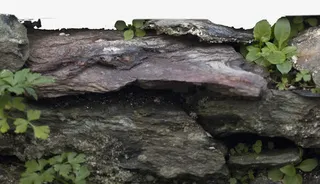 石头与绿草免抠