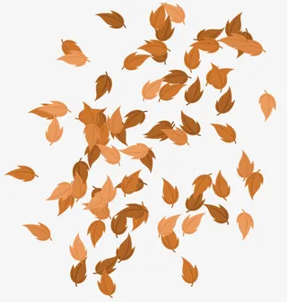 矢量秋天落叶免抠
