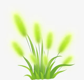 绿色梦幻树叶装饰春天免抠