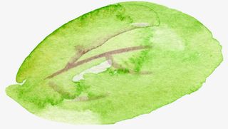 树叶底纹元素透明树叶元素免抠