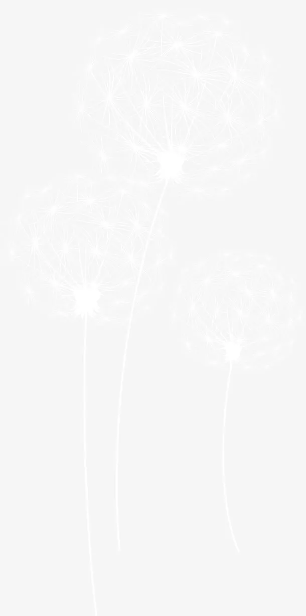 白色清新蒲公英装饰图案免抠