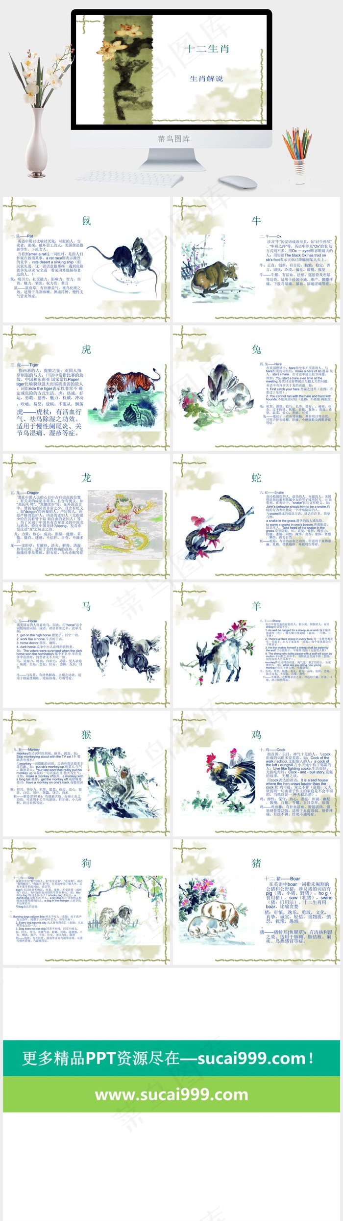 十二生肖介绍PPT模板白色PPT模板白色PPT模板