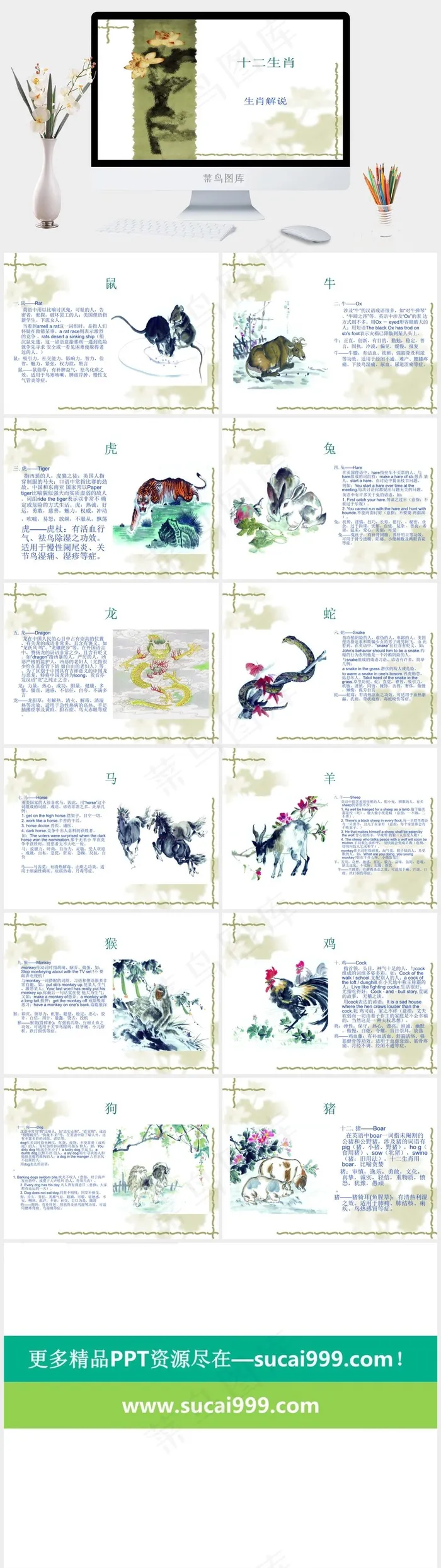 十二生肖介绍PPT模板白色PPT模板白色PPT模板