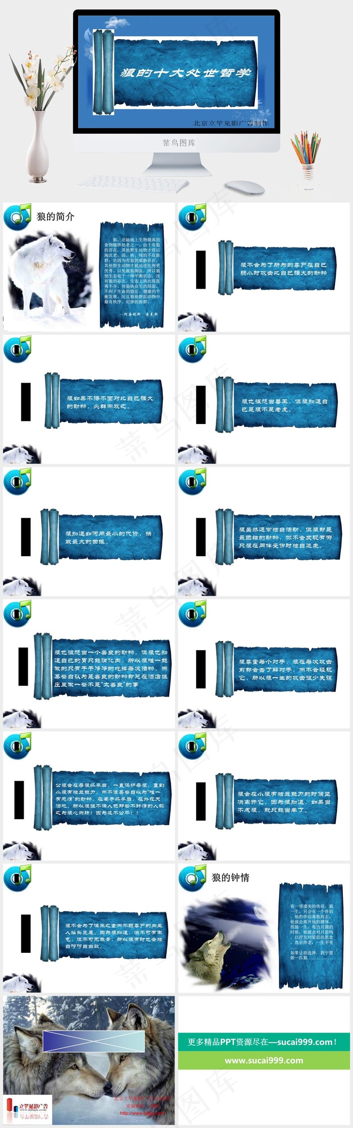 狼的十大处世哲学蓝色突出PPT模板
