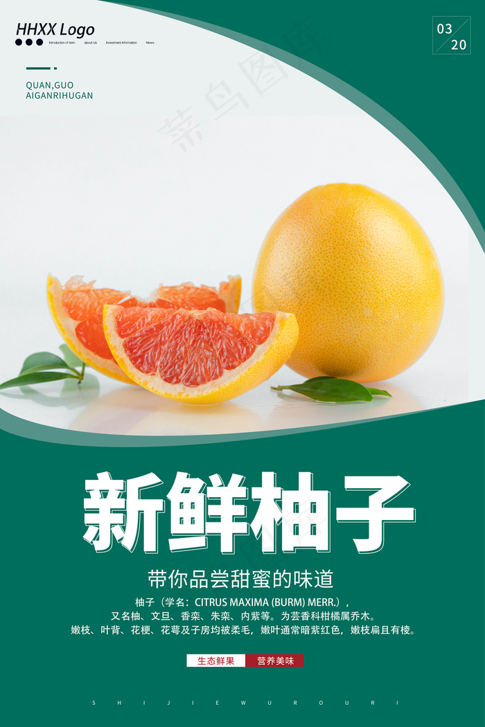 柚子图片(7087x10630)psd模版下载