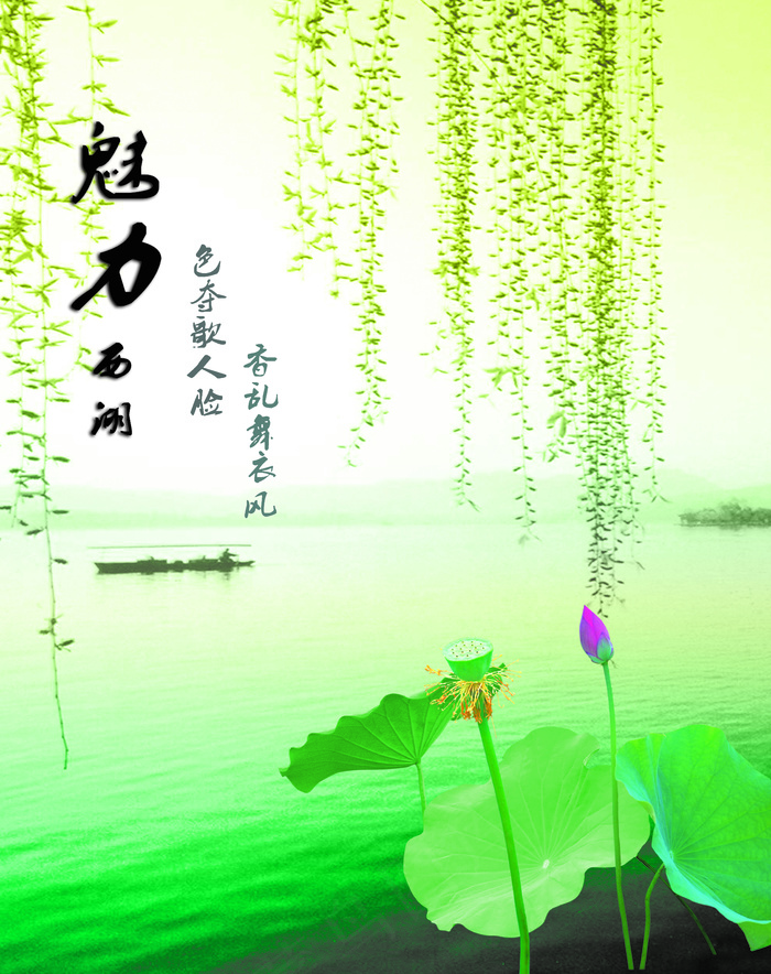 衣柜门图片