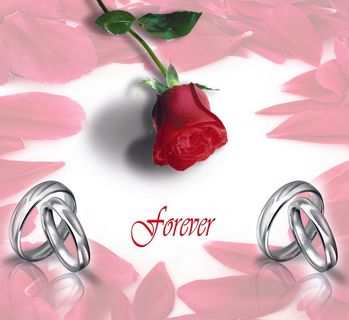 衣柜门屏风隔断图片