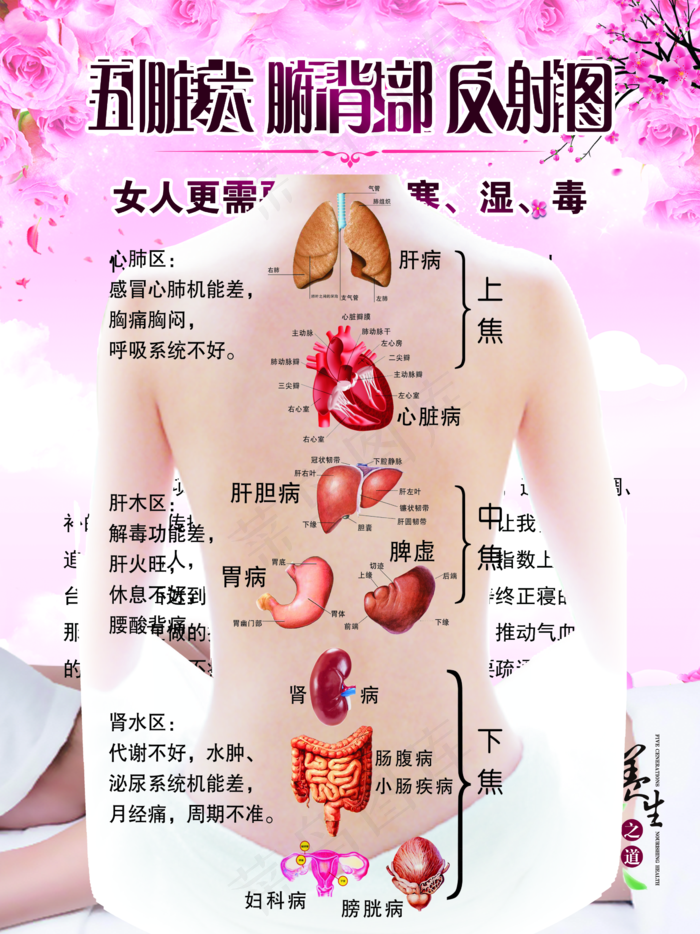 排寒湿女人篇图片(2362x3150)psd模版下载
