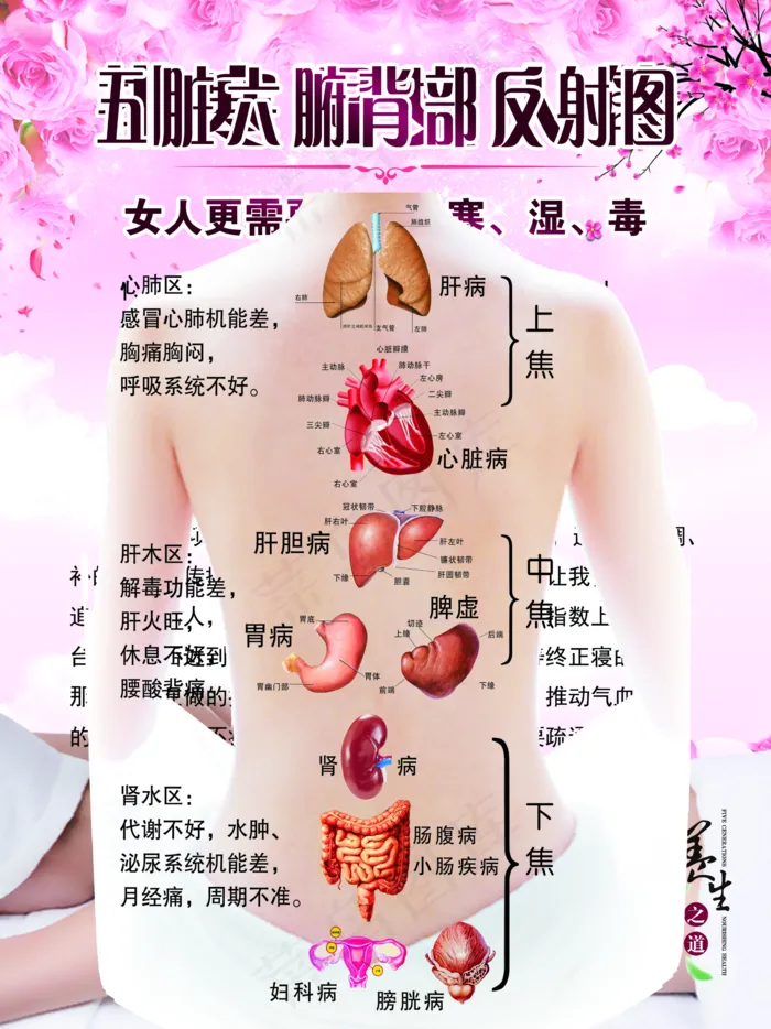 排寒湿女人篇图片(2362x3150)psd模版下载