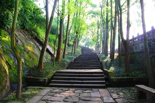 钓鱼城美景图片