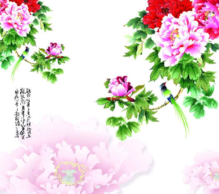 衣柜门图片