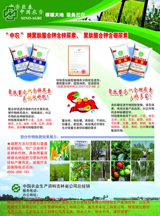 中农宣传单2019图片