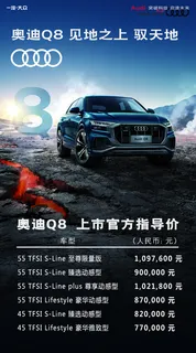 奥迪Q8图片