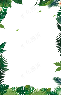树叶边框植物边框图片