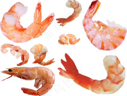虾png免扣高清素材图片