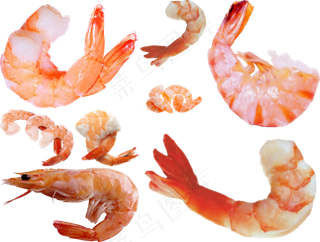 虾png免扣高清素材图片