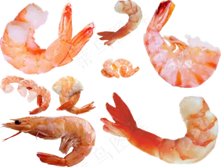 虾png免扣高清素材图片