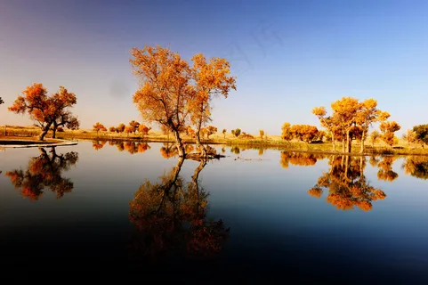 塔里木河绿洲图片 塔里木河绿洲图片