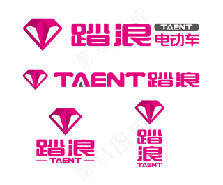 踏浪电动车图片