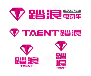 踏浪电动车图片