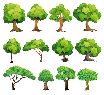 卡通树图片
