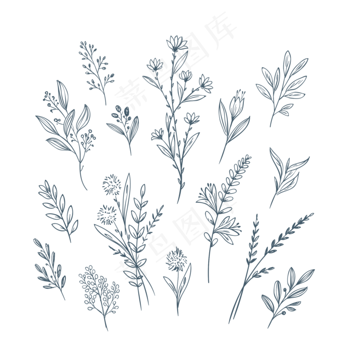 手绘铅笔黑白针管笔花卉树叶植物图片(2000x2000)psd模版下载