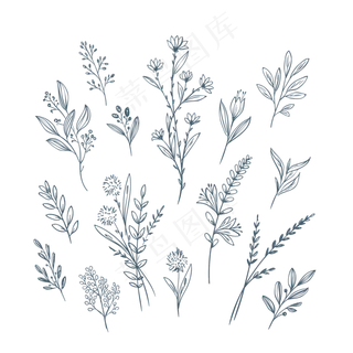 手绘铅笔黑白针管笔花卉树叶植物图片