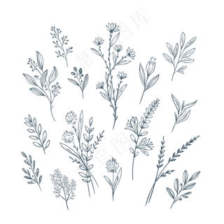 手绘铅笔黑白针管笔花卉树叶植物图片