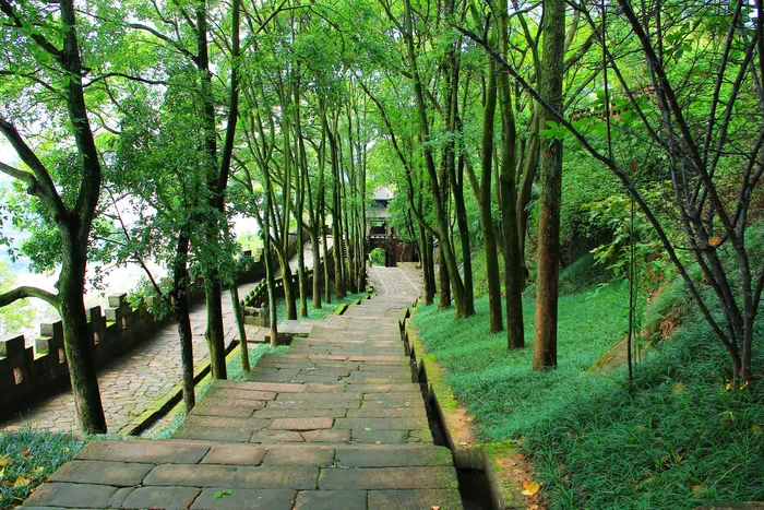 钓鱼城美景图片