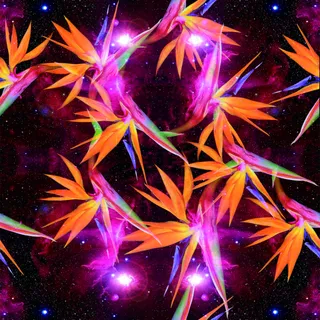 数码花型 服装 设计 高清图片