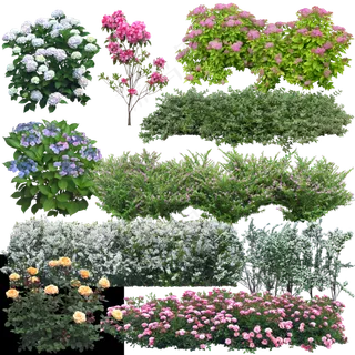 花卉绿植花丛鲜花绿叶红花图片