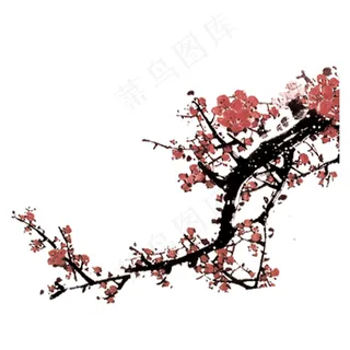 梅花  图片