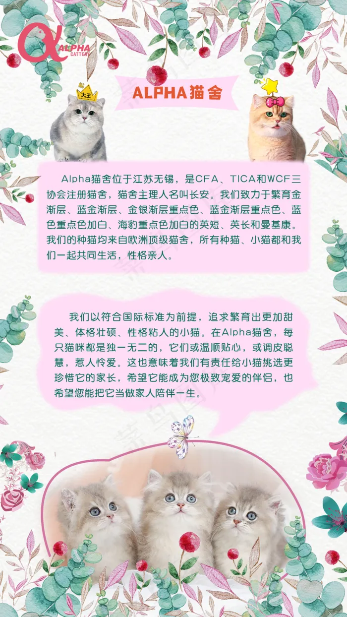 简约大气猫舍海报图片(1080x1920)psd模版下载