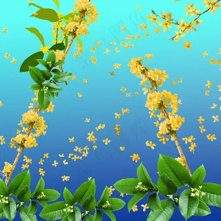桂花免抠素材图片