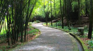 钓鱼城美景图片