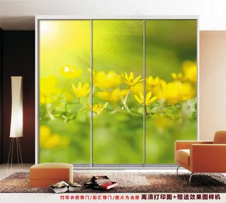 衣柜 移门 衣柜门 雕刻衣柜门图片