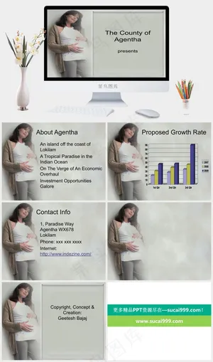 爱的妇产科PPT模板灰色标准素雅PPT模板预览图