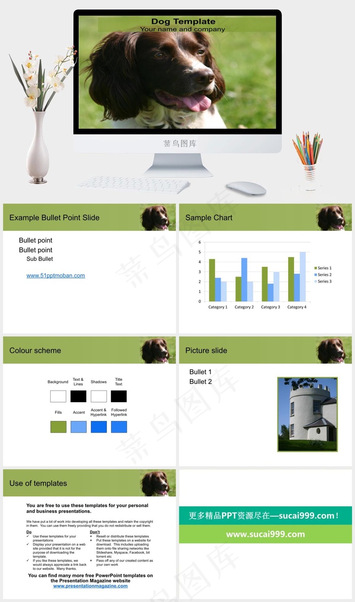 草地上的狗狗ppt模板绿色灰色突出实景风PPT模板