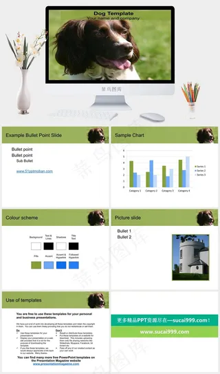 草地上的狗狗ppt模板绿色灰色突出实景风PPT模板