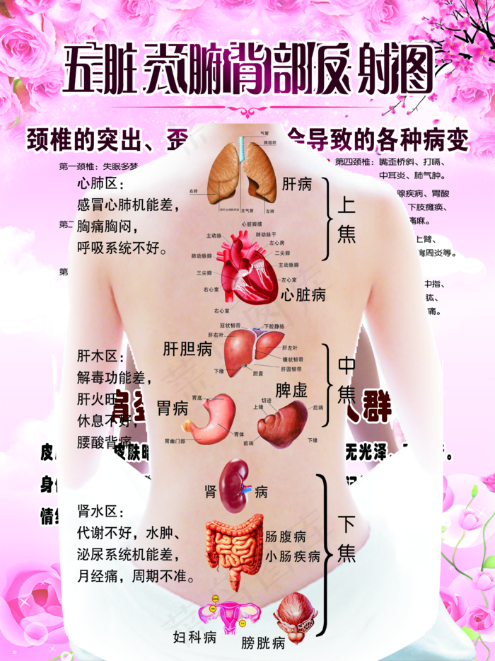 肩颈的保养图片(2362x3150)psd模版下载