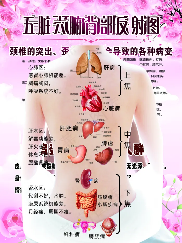 肩颈的保养图片(2362x3150)psd模版下载