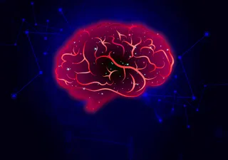 运动的大脑图片