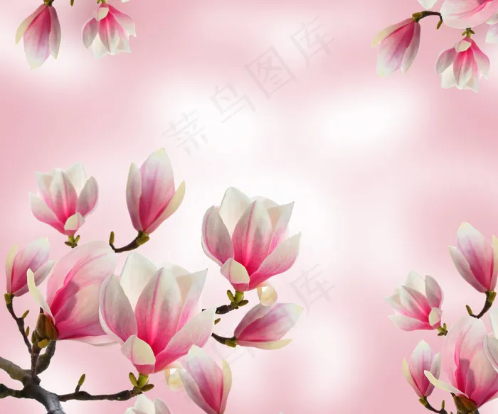 衣柜门图片