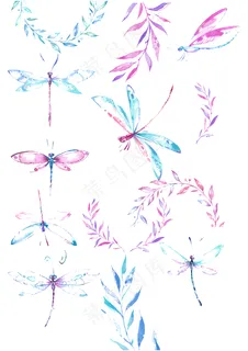 蜻蜓 手绘水彩 小清新图片