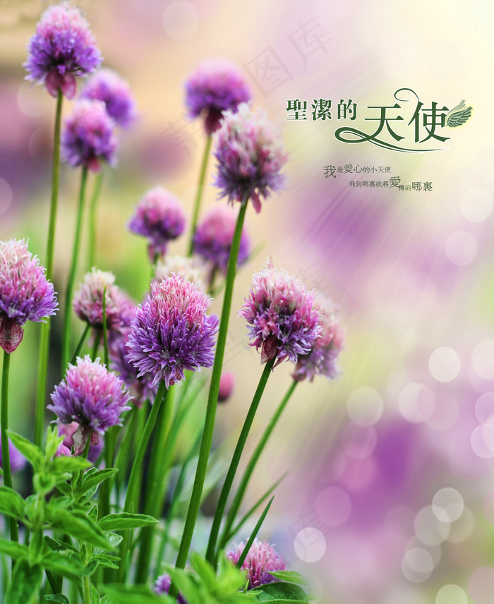 衣柜门图片