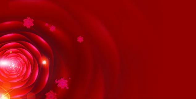 红色玫瑰花背景图片 红色玫瑰花背景图片
